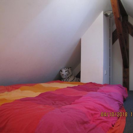 R Bnb Ouest モルスハイム エクステリア 写真